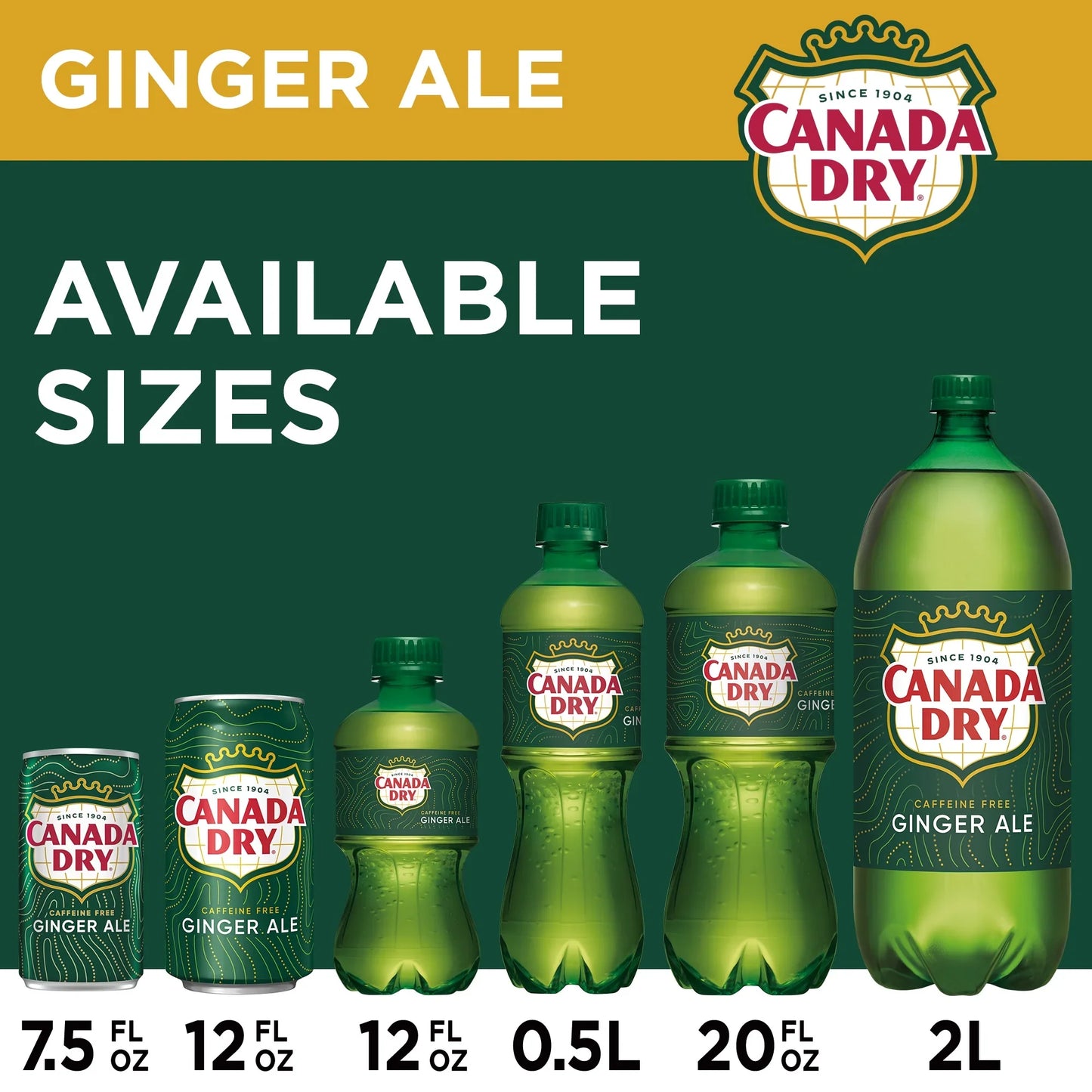 Canada Dry Ginger Ale (20 fl oz Bottle)